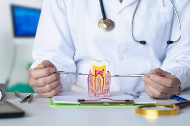 Best Chipped Tooth Repair Near Me  in Nes, IL